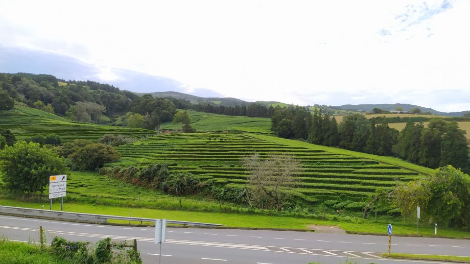 Furnas Lake & Volcano Tour - Booking Information