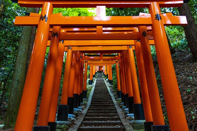 Fushimi Inari Mountain Hiking Tour With a Local Guide - Scenic Views and Photo Ops