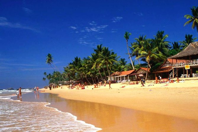 Galle Day Tour From Colombo or Negombo by Private Car , Van With Driver - Pricing Details