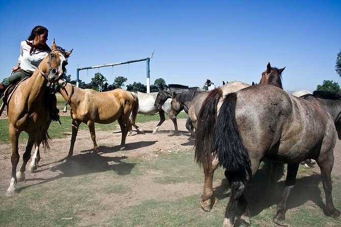 Gaucho Day Tour Don Silvano Estancia From Buenos Aires - Estate Activities