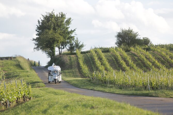 Geneva Panoramic & Tasting Vineyards Tour in an Electric Tuk Tuk - Cancellation Policy Details