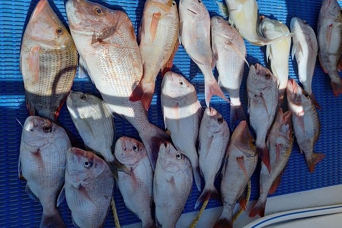 Geraldton Fishing Charter - Additional Information