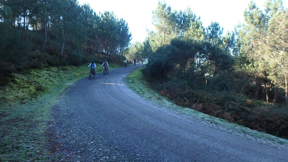 Gerês National Park: E-Bike Tour - Host Availability