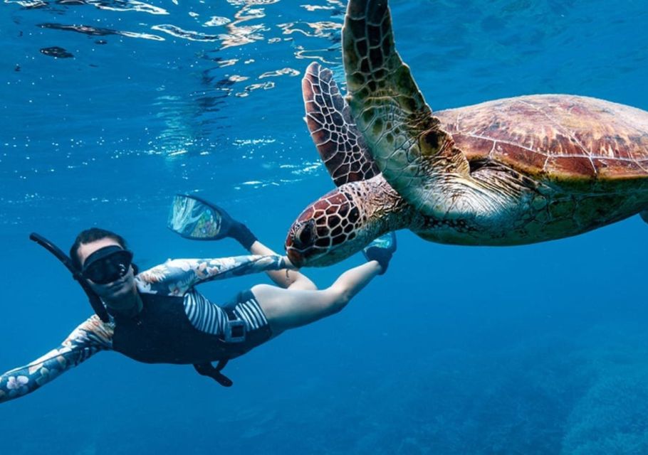 Gili T Island: Gili Snorkeling Day Trip Swim With Turtles - Leisure Time on Gili Islands