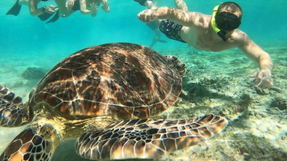 Gili Trawangan: Gili Island 3 Spots Snorkeling With Turtle - Dive Into Turquoise Waters