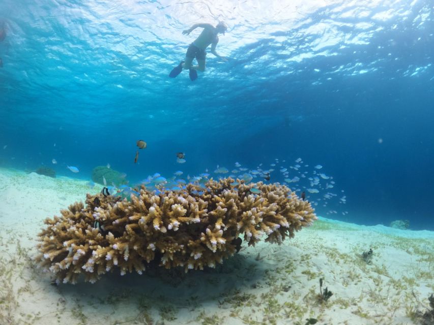 Gili Trawangan: Group Snorkelling Boat Trip Around Gilis - Additional Information