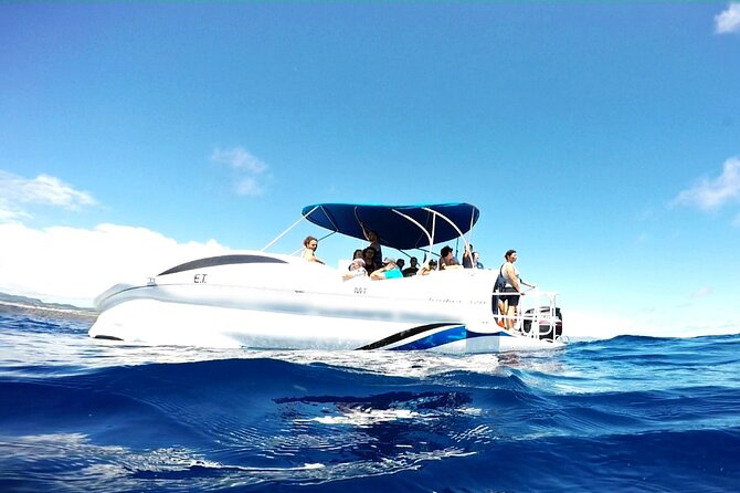 Glass-Bottom Boat Cruise With Snorkeling at Vila Franca Do Campo  - Sao Miguel - Accessibility and Services