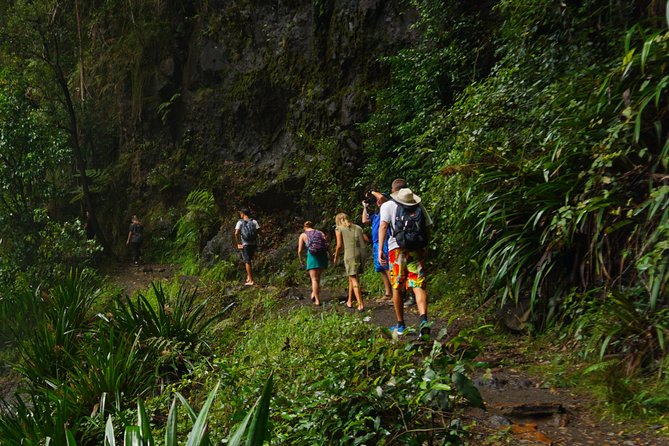 Glow Worms Private Tour - Nocturnal Rainforest Walk - Common questions