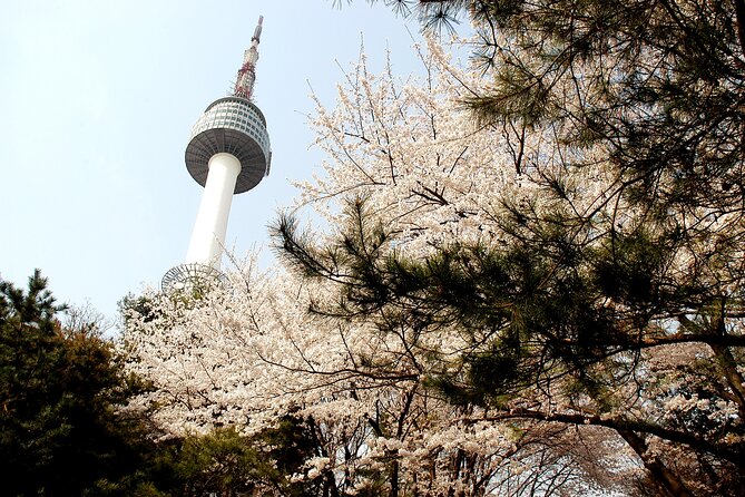 Go City: Seoul Explorer Pass - Choose 3, 4, 5, 6 or 7 Attractions - Attractions Selection Process