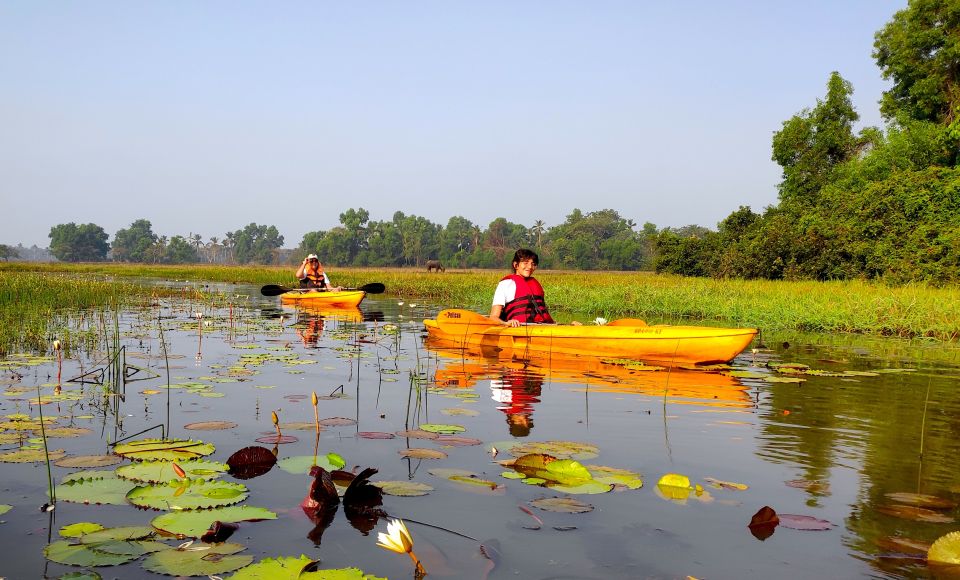 Goa: Backwaters and Mangrove Kayaking Experience - Safety Measures