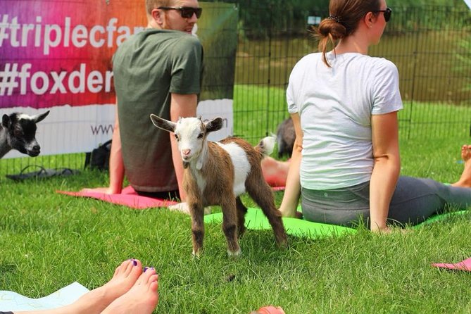 Goat Yoga and Wine Tasting - Participant Guidelines