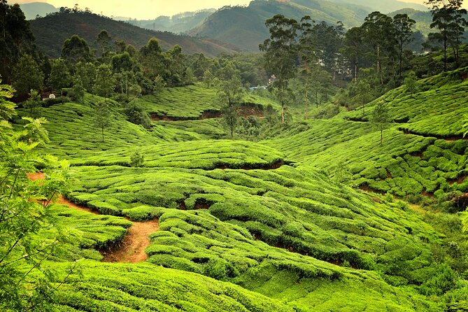 Gods Own Country - KERALA (8 Days Private Trip) - Itinerary Overview