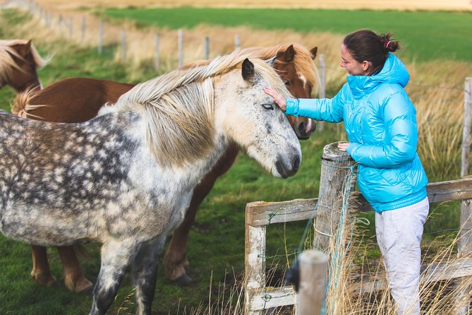 Golden Circle and Horses - Traveler Reviews