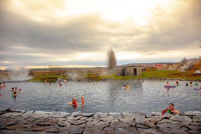 Golden Circle and Secret Lagoon Full Day Tour From Reykjavik by Minibus - Authentic Traveler Reviews