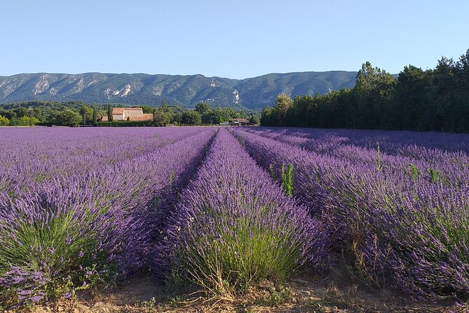 Gordes, Roussillon & Fontaine De Vaucluse - Scenic Views and Natural Wonders