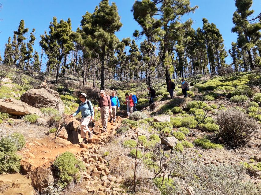 Gran Canaria: "Peaks of Gran Canaria" Hiking Tour - Route Details