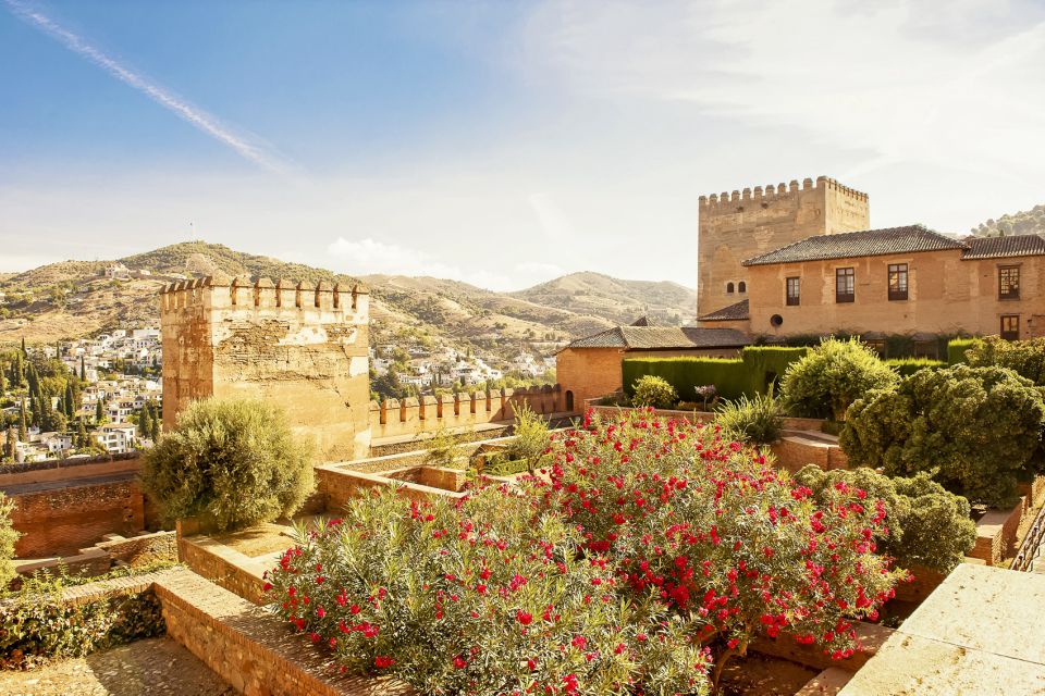 Granada: Alhambra, Generalife & Albaicin Private Tour - Review Summary