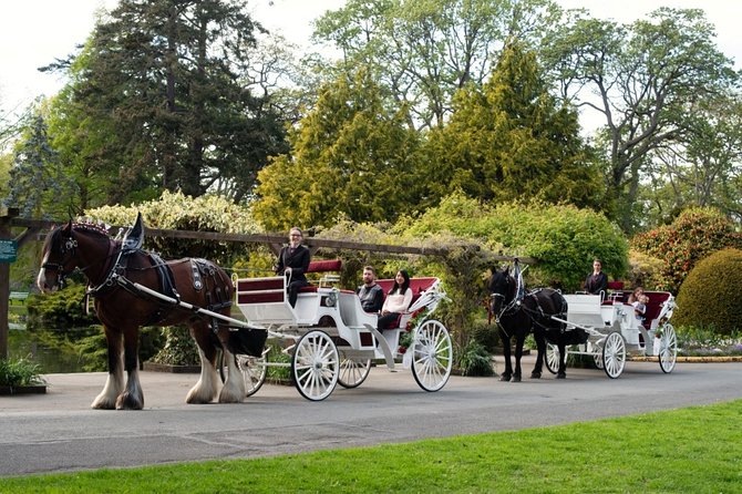 Grand Horse-Drawn Carriage Tour of Victoria - Service Animals Policy