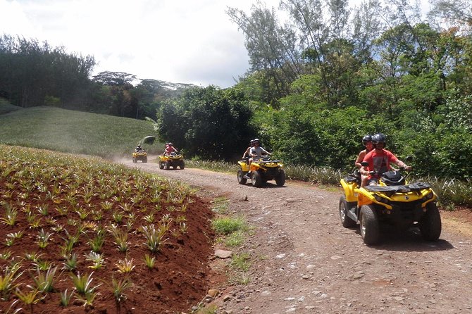 Grand Tour Quad 3h30 Quad Excursion in Moorea (Single or Two-Seater) - Tour Highlights and Customer Feedback