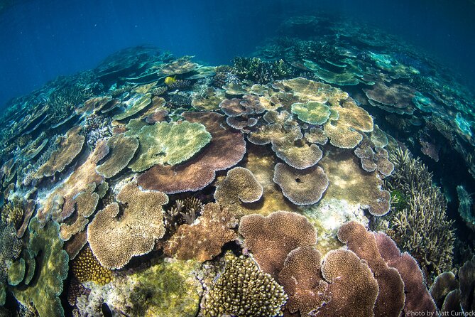 Great Barrier Reef and MOUA Cruise From Townsville or Magnetic Island - Safety Guidelines