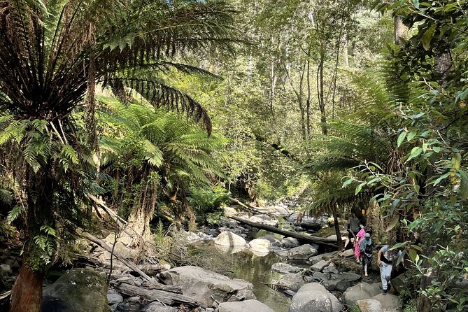 Great Ocean Road to Lorne Beaches & Waterfall Melbourne Day Tour - Contact and Additional Resources