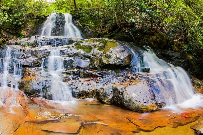 Great Smoky Mountains National Park: Audio Driving Tour - Traveler Photos