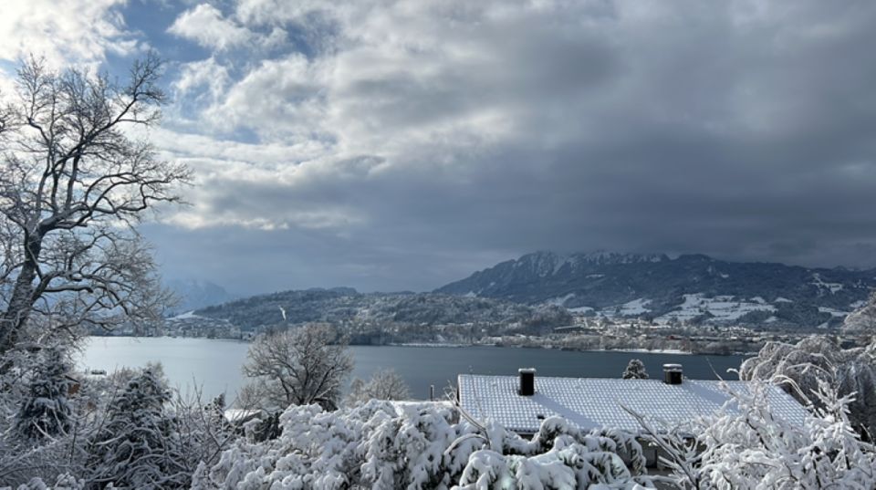 Great Walk Through Lucerne With Places of Interest - Inclusions in the Guided Walk