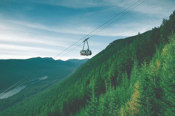 Grouse Mountain Admission Ticket - Reviews and Feedback