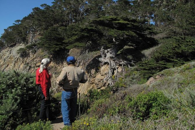 Guided 2-Hour Point Lobos Nature Walk - What to Expect During the Walk