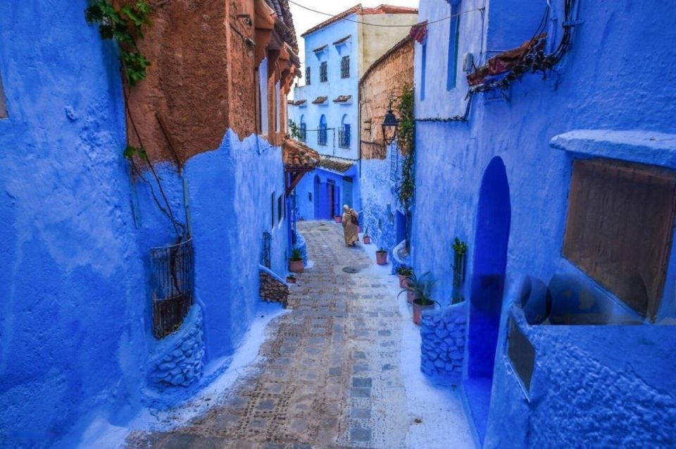 Guided Enchantment: Day Trip From Fez to Chefchaouen City - Highlights