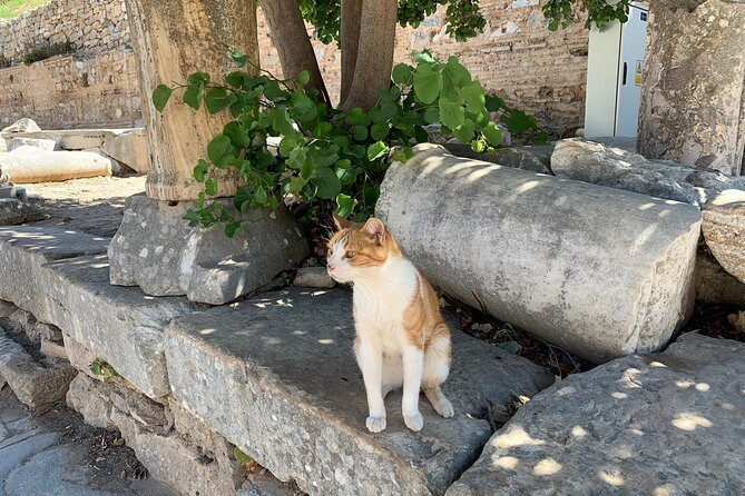 Guided Ephesus Tour From/to Izmir - Tour Guide Information