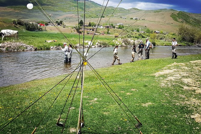 Guided Fly Fishing Experience in Park City - Traveler Photos and Reviews