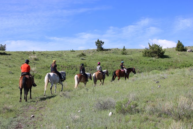 Guided Horseback Trek Through Blue Flower Trail - Directions