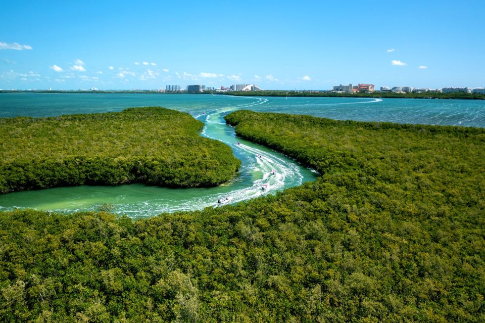 Guided Jungle Tour by Speed Boat Snorkeling & Mayan Ceremony - Participant Details