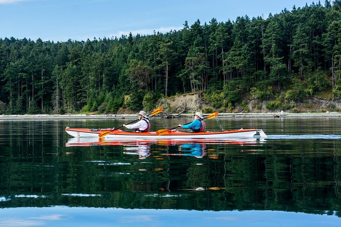 Guided Kayak Tour on San Juan Island - Cancellation Policy Details