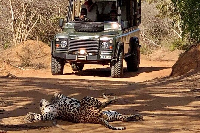 Guided Leopard Safari in Yala National Park in a Land Rover Defender - Meeting Point Information