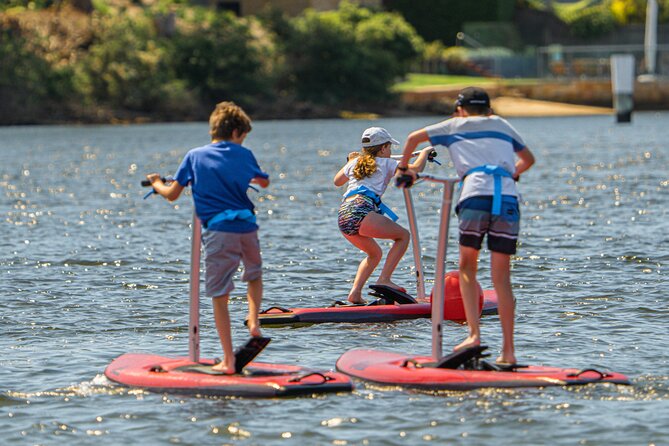 Guided Step-Up Paddle Board Tour of Narrabeen Lagoon - Meeting and Pickup Information