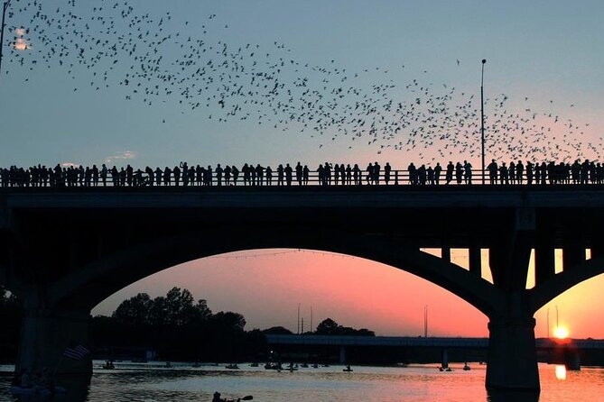 Guided Sunset Bat Kayak Tour in Austin - Additional Information