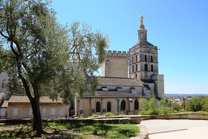 Guided Tour of Avignon - Cancellation Policy Specifics