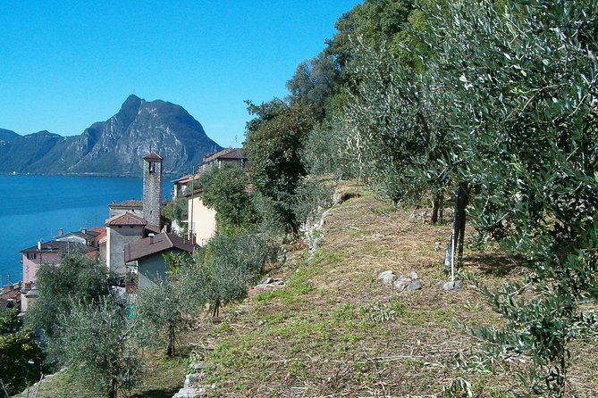 Guided Walk From Lugano to Gandria Promoted by Lugano Region - Return by Boat - Cancellation Policy