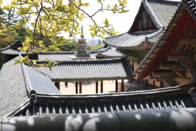Gyeongju Temple Stay and 2 Days Private Tour Learning Monks Martial Arts - Pricing Details and Inclusions