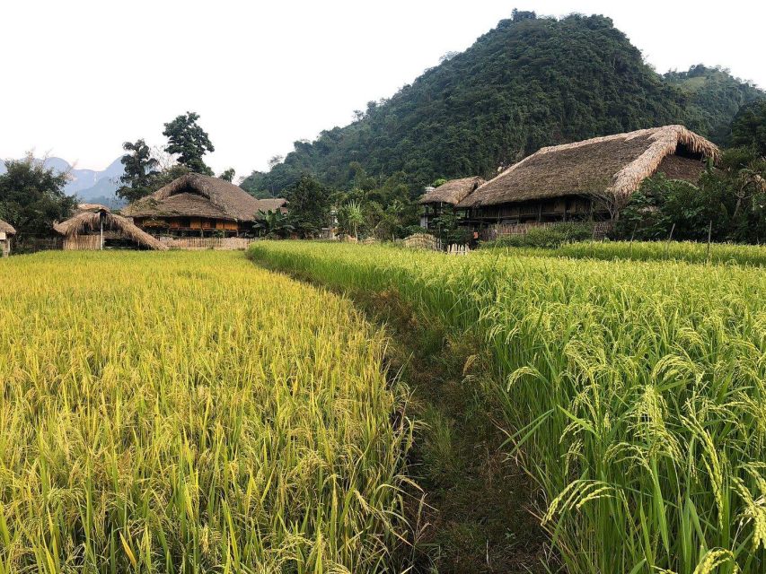 Ha Giang Loop: Easy Rider Motorbike Tour in 3D3N - Transportation Logistics and Departure Details