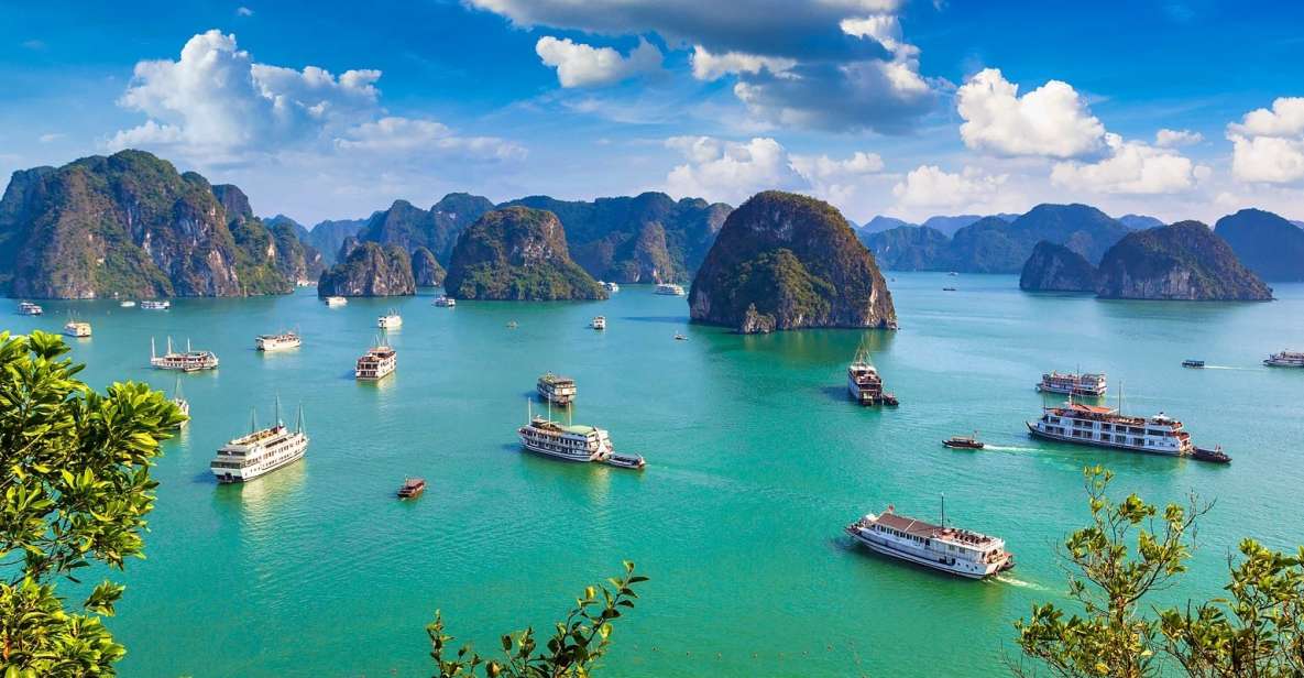 Ha Long Bay 2 Days 1 Night - 5 Star Cruise - Meals and Cuisine