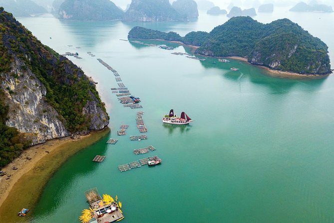 Ha Long Bay Cruise Day Tour - Best Selling: Kayaking, Swimming, Hiking & Lunch - Tour Guides
