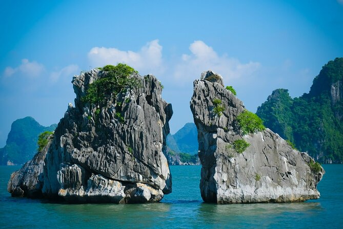 Ha Long Bay Cruise Day Tour-Cave, Kayaking,Ti Top Island & Lunch - Traveler Feedback and Reviews