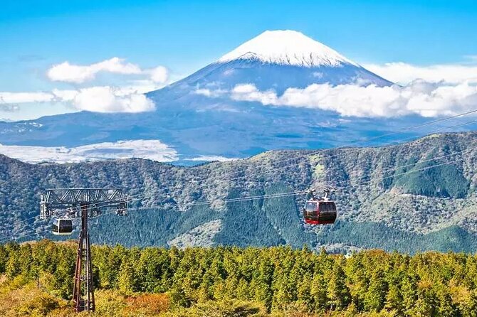 Hakone FreePass, 2-3 Days Japan - Cancellation Policy and Reviews