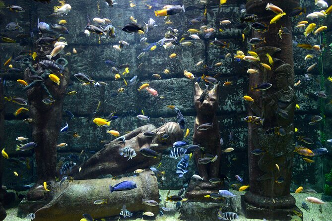 Half Day Antalya Aquarium Tour And Wax Museum - Tour Itinerary