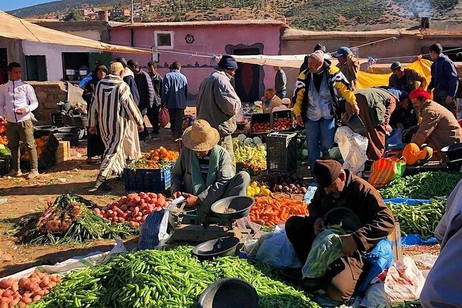 Half-Day Atlas Mountains Tour From Marrakesh - Traveler Photos