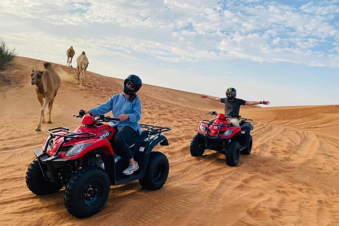 Half-Day ATV With Camel Ride and Sandboarding Experience - Additional Details