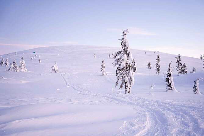 Half-Day Backcountry Skiing Tour in Levi With Photography Guide - Expert Photography Guidance